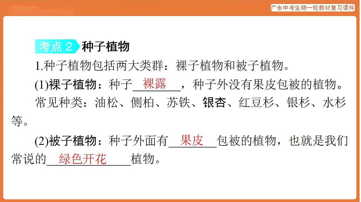 17824201第7页