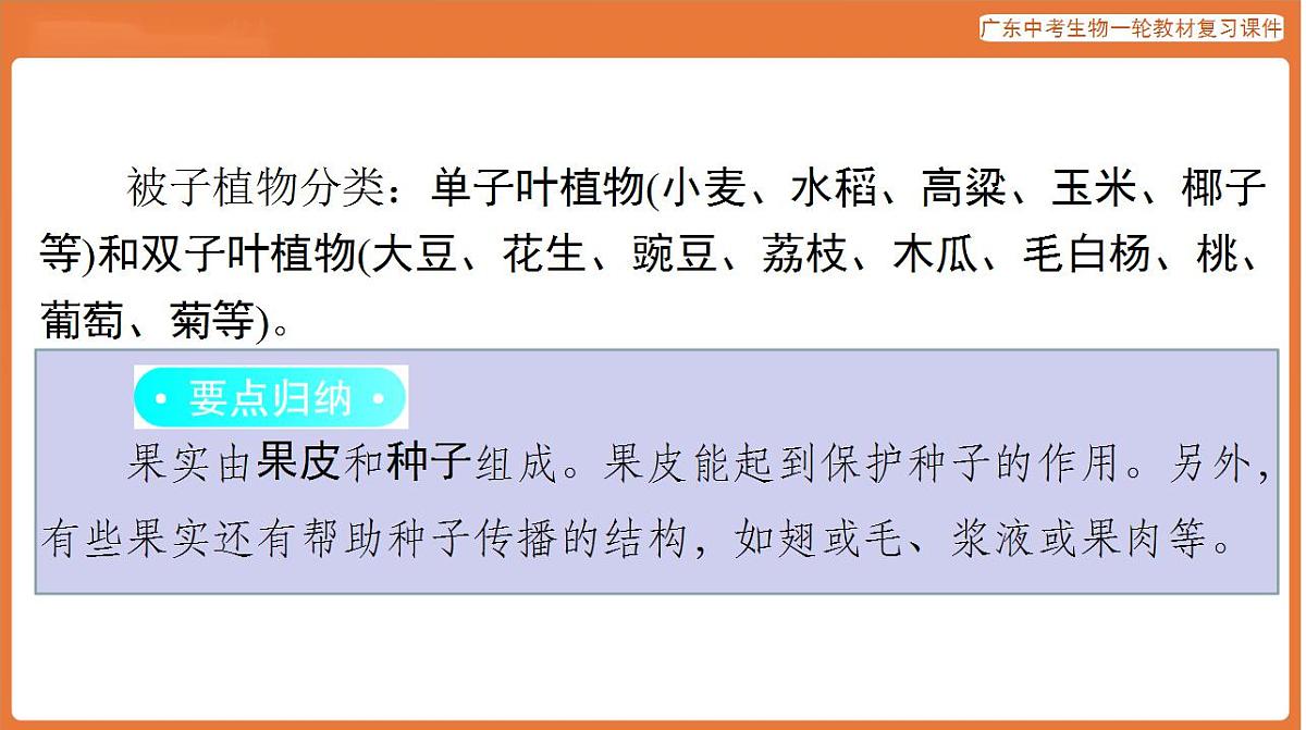 17824201第8页