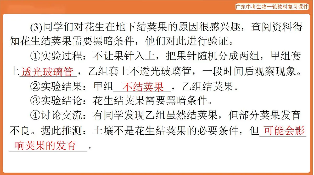 17824217第5页
