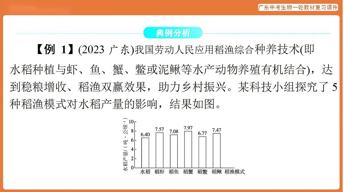 17824218第2页