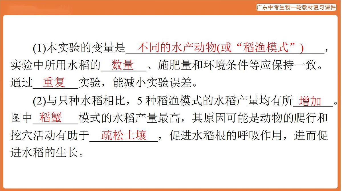 17824218第3页