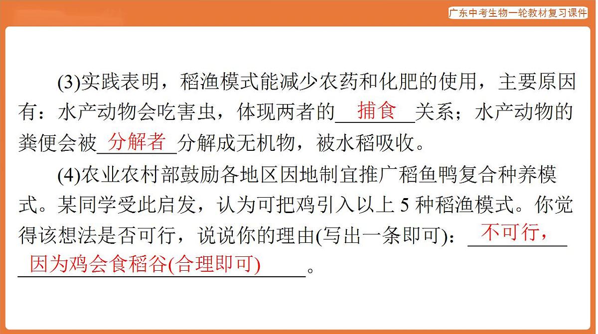 17824218第4页