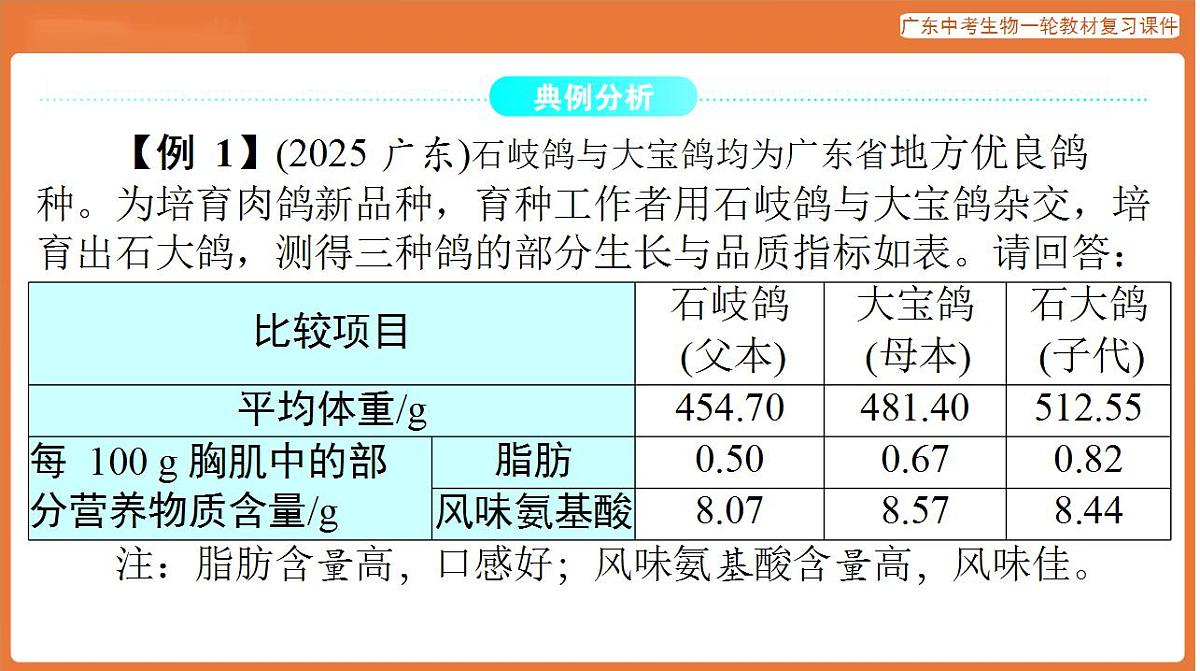 17824219第2页