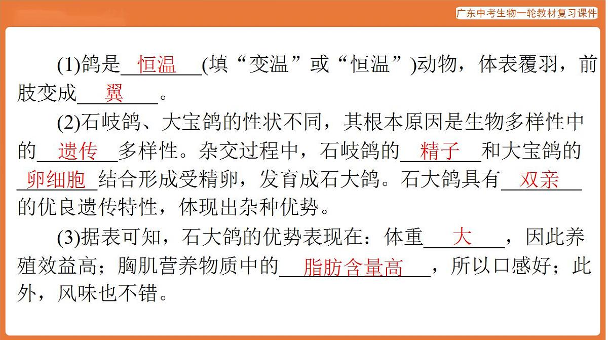 17824219第3页