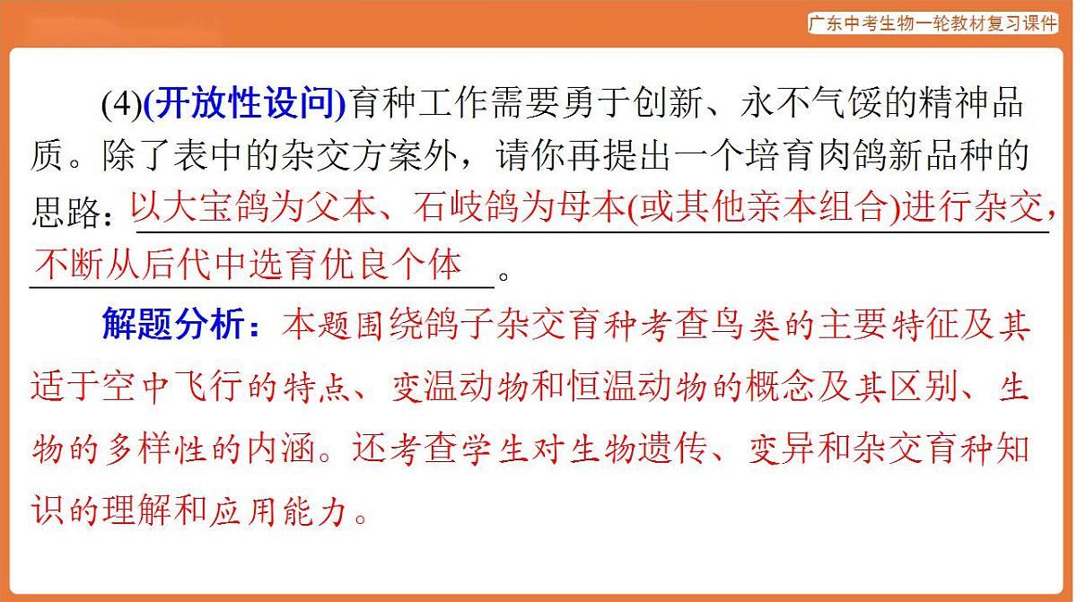 17824219第4页