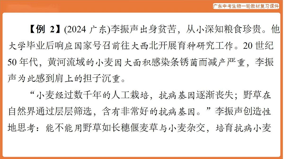 17824219第5页