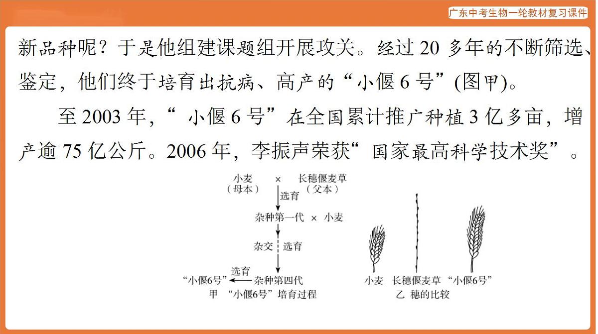 17824219第6页