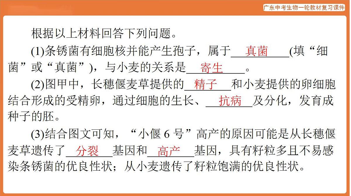 17824219第7页