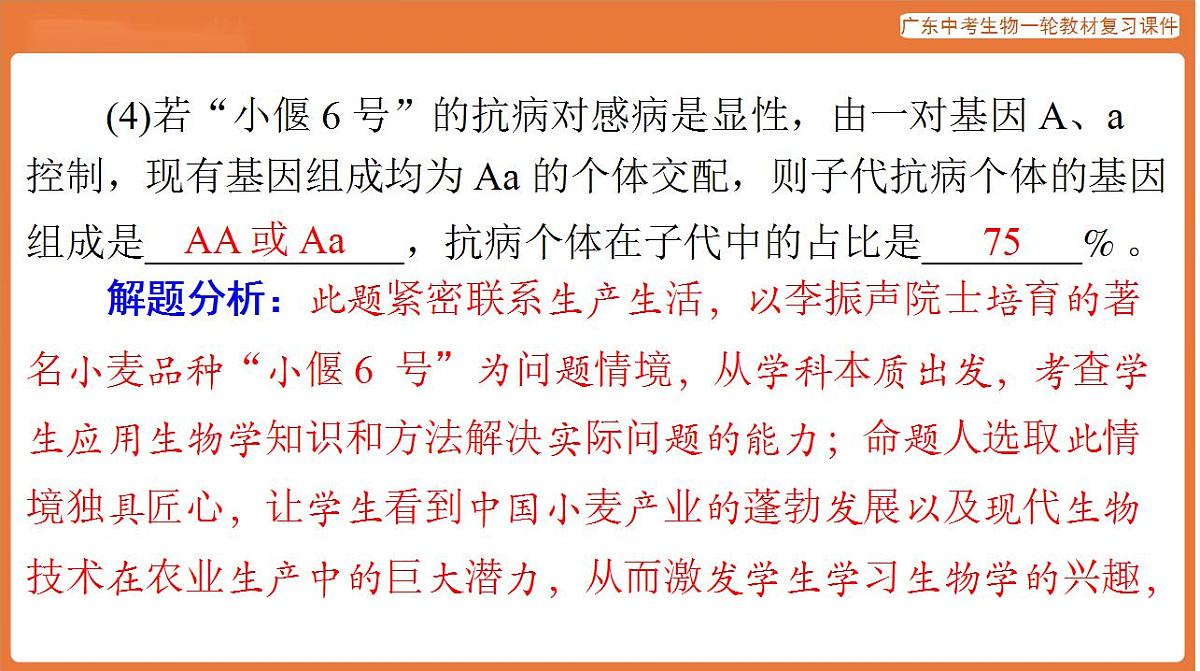 17824219第8页