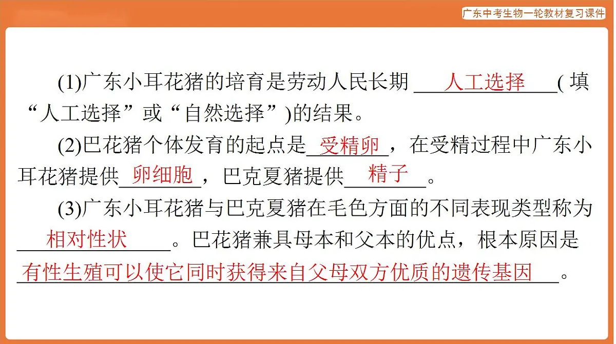 17824220第7页