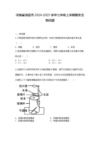 河南省洛阳市2024-2025学年七年级上学期期末生物试题