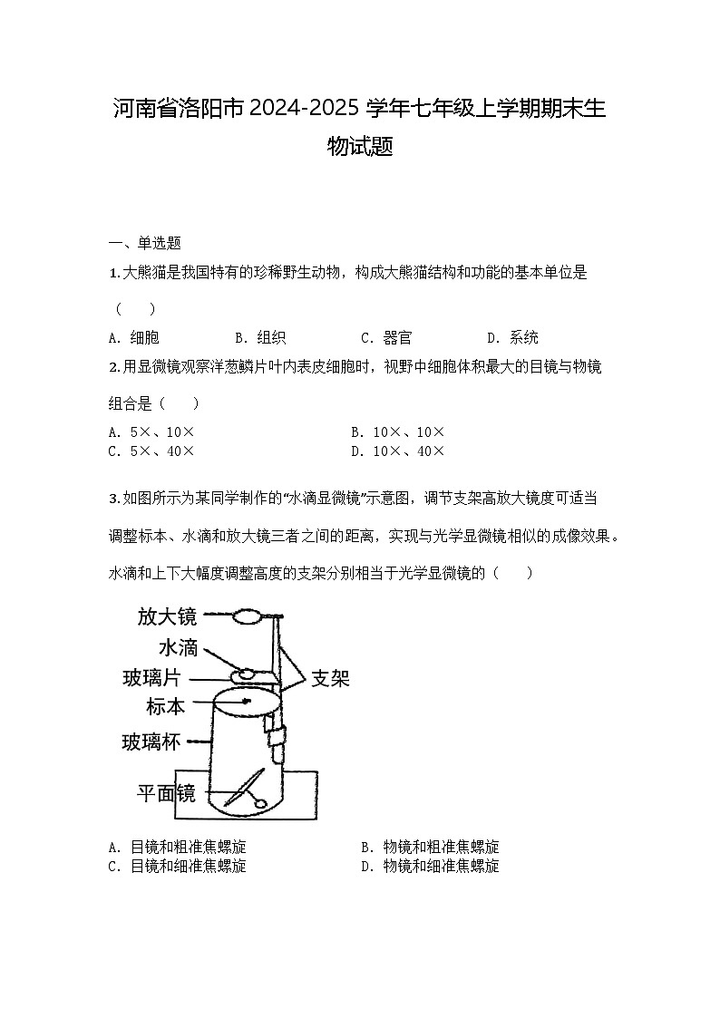 河南省洛阳市2024-2025学年七年级上学期期末生物试题第1页