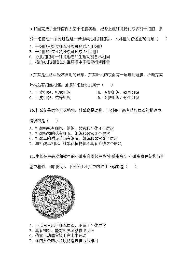 河南省洛阳市2024-2025学年七年级上学期期末生物试题第3页