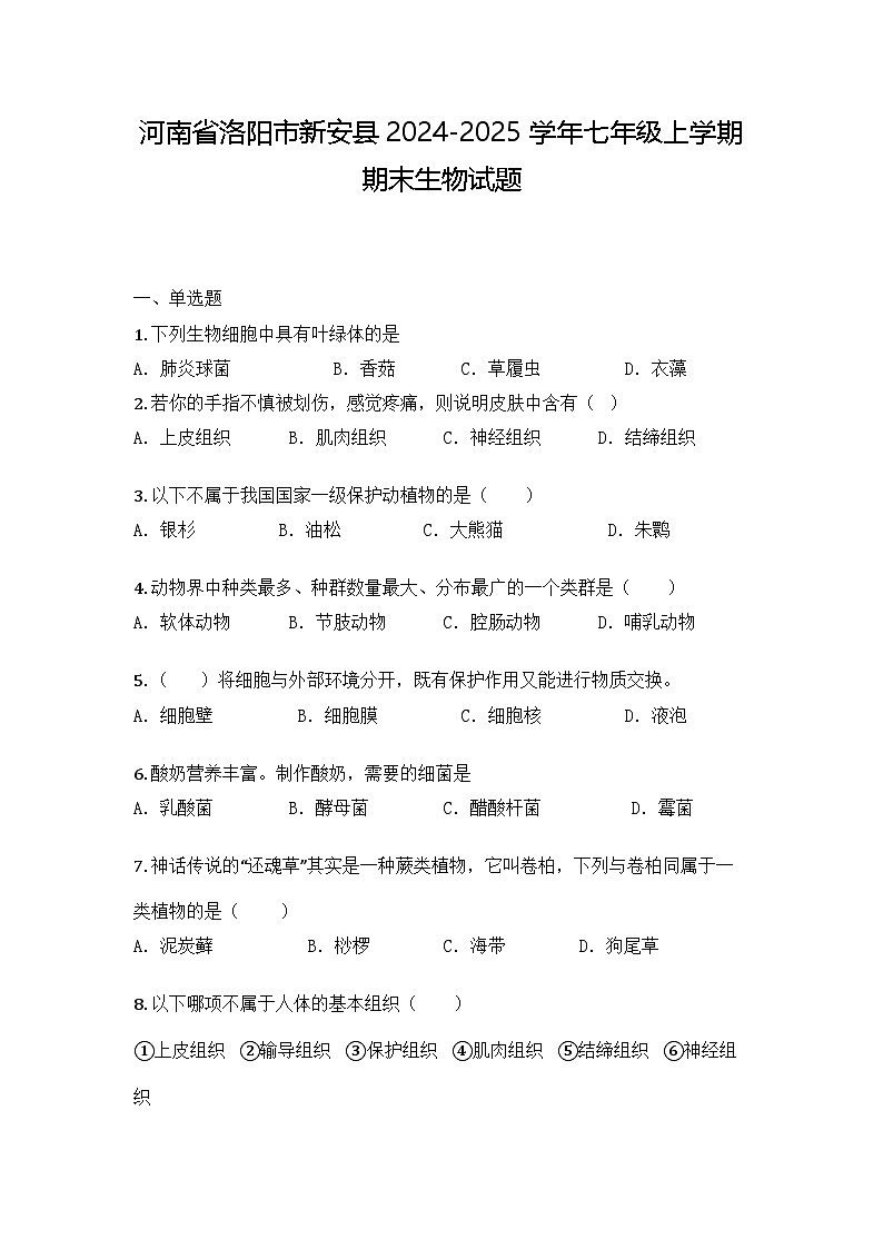 河南省洛阳市新安县2024-2025学年七年级上学期期末生物试题第1页