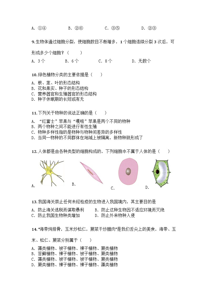 河南省洛阳市新安县2024-2025学年七年级上学期期末生物试题第2页