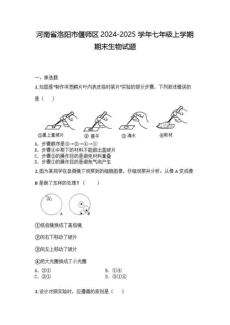 河南省洛阳市偃师区2024-2025学年七年级上学期期末生物试题第1页