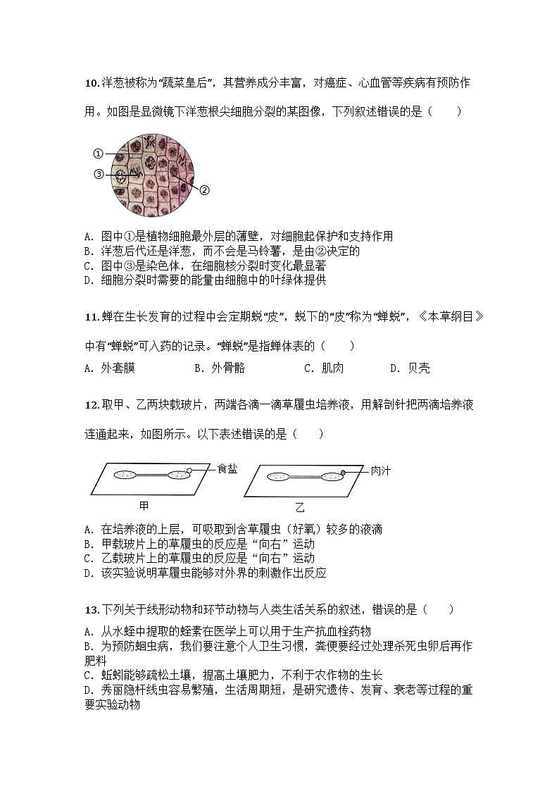 河南省洛阳市偃师区2024-2025学年七年级上学期期末生物试题第3页