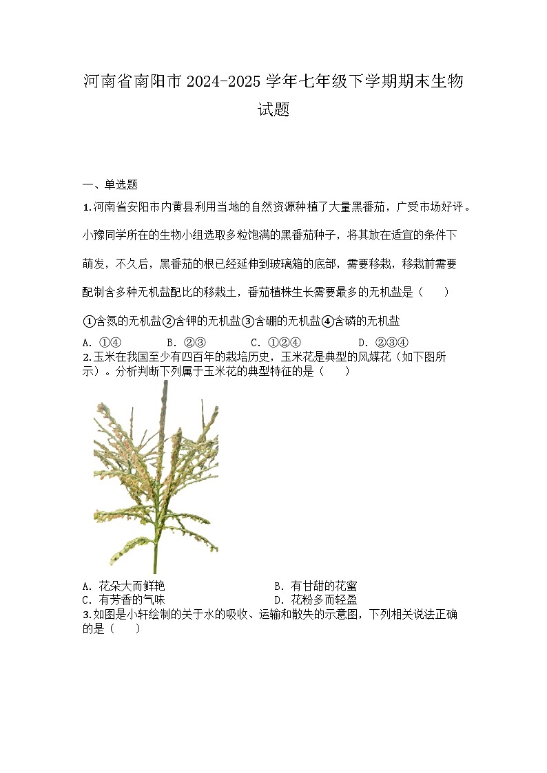 河南省南阳市2024-2025学年七年级下学期期末生物试题第1页
