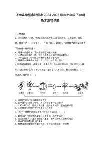 河南省南阳市邓州市2024-2025学年七年级下学期期末生物试题