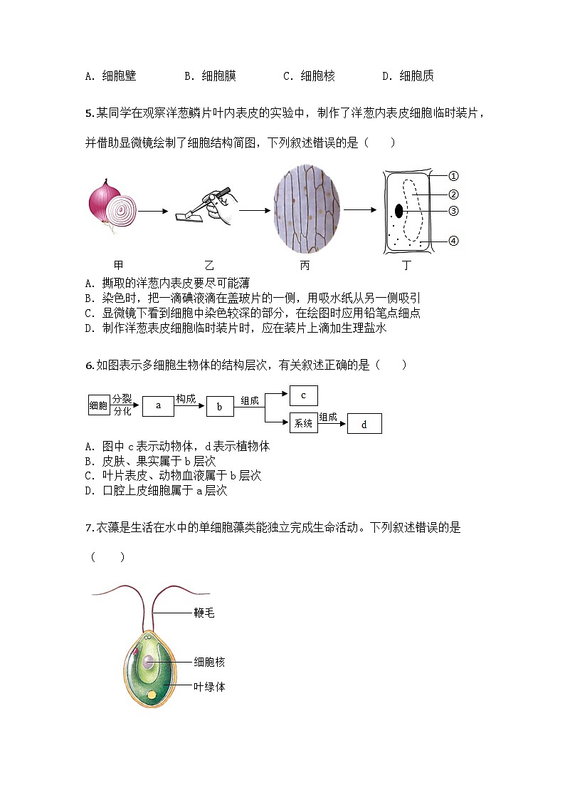 河南省平顶山市宝丰县2024-2025学年七年级上学期期末生物试题第2页