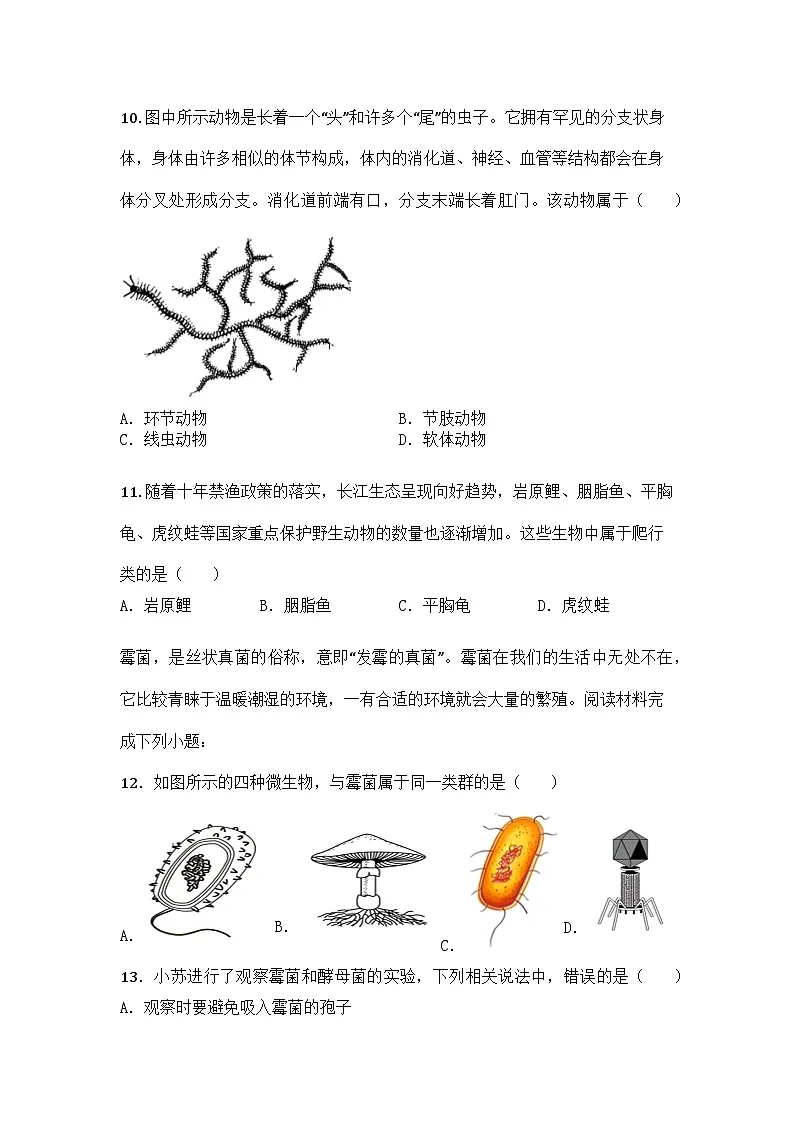 河南省平顶山市郏县2024-2025学年七年级上学期期末生物试题第3页