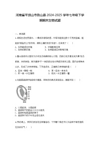 河南省平顶山市鲁山县2024-2025学年七年级下学期期末生物试题