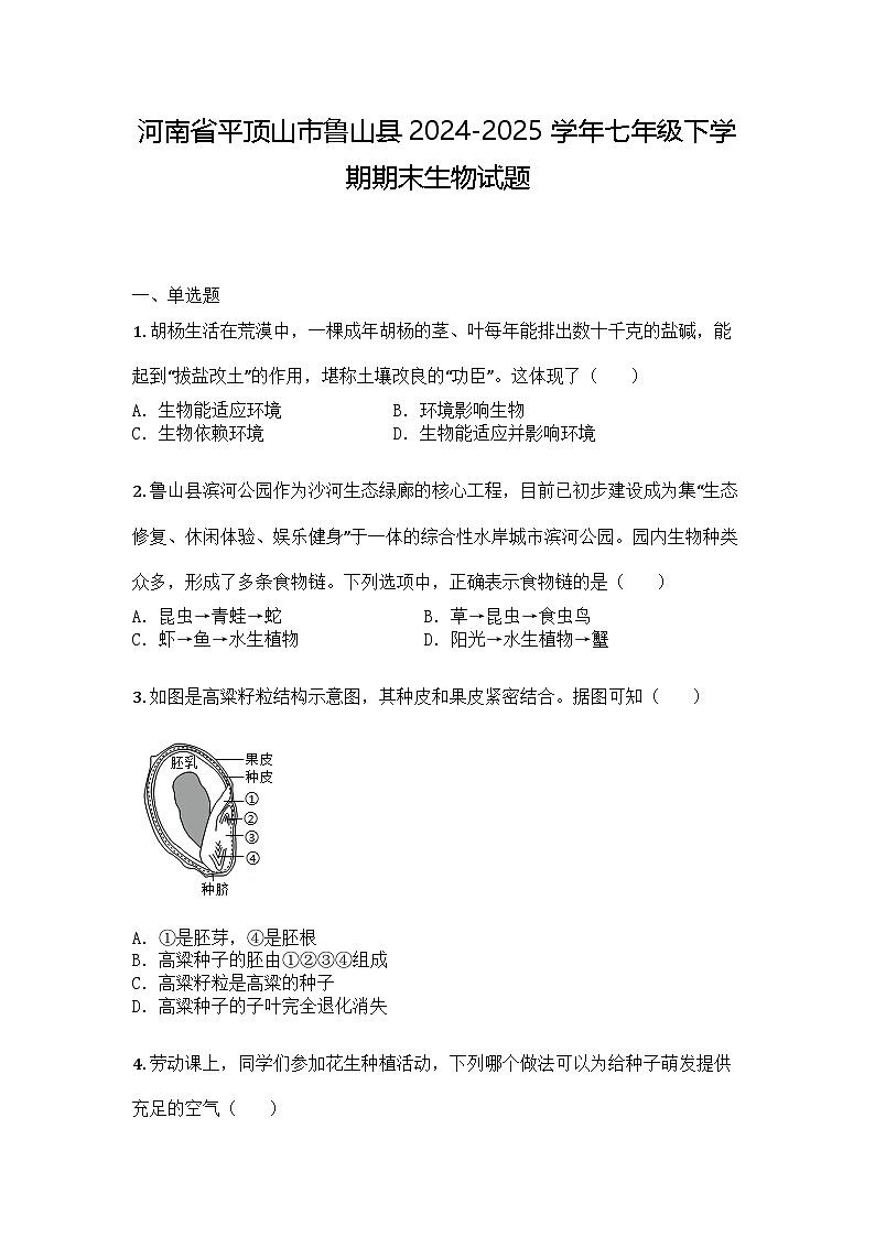 河南省平顶山市鲁山县2024-2025学年七年级下学期期末生物试题第1页