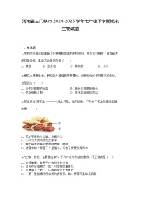 河南省三门峡市2024-2025学年七年级下学期期末生物试题