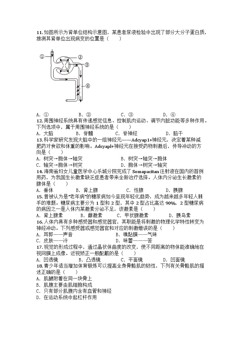 河南省新乡市长垣市2024-2025学年七年级下学期期末生物试题第3页