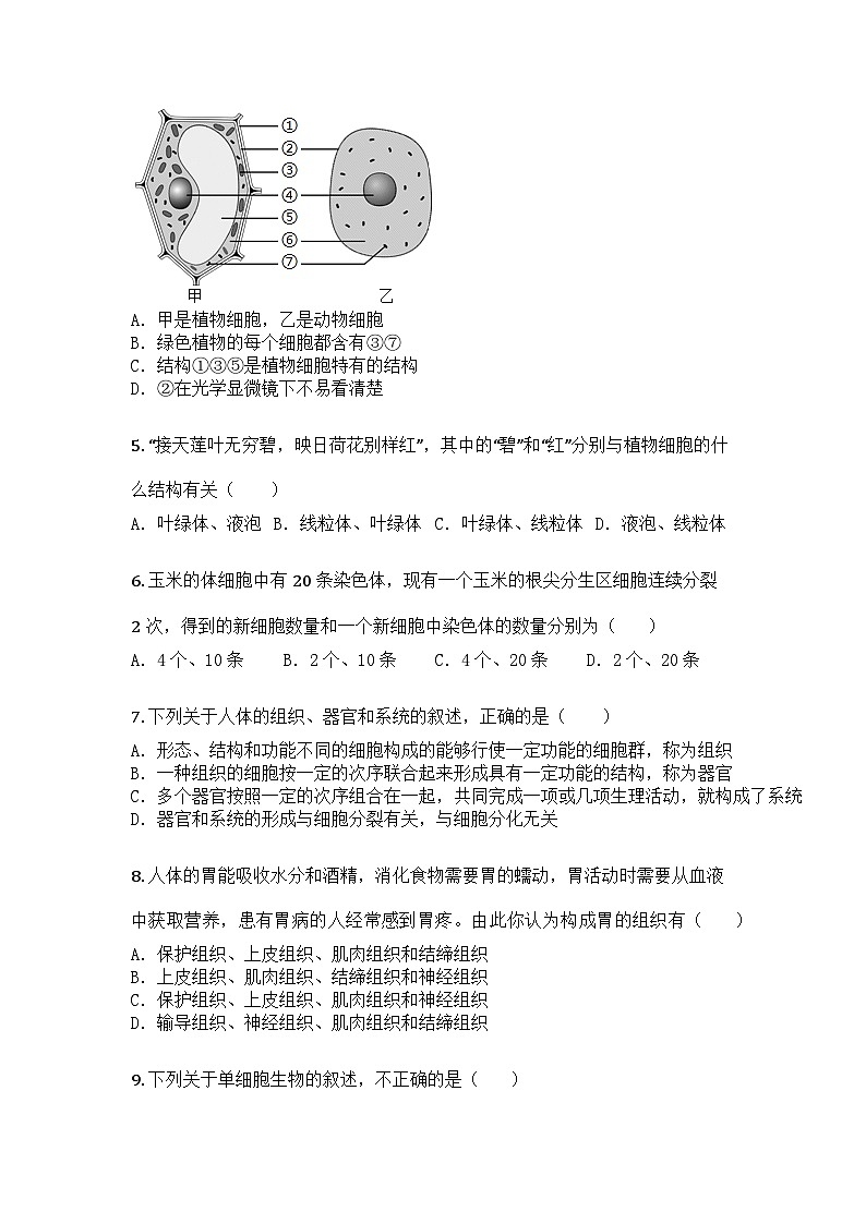 河南省驻马店市平舆县2024-2025学年七年级上学期期末生物试题第2页