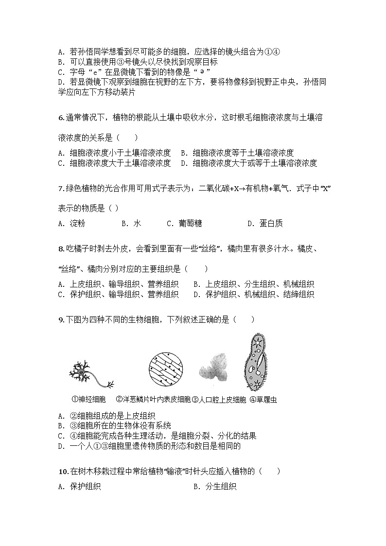 河南省驻马店市西平县2024-2025学年七年级上学期期末生物试题第2页