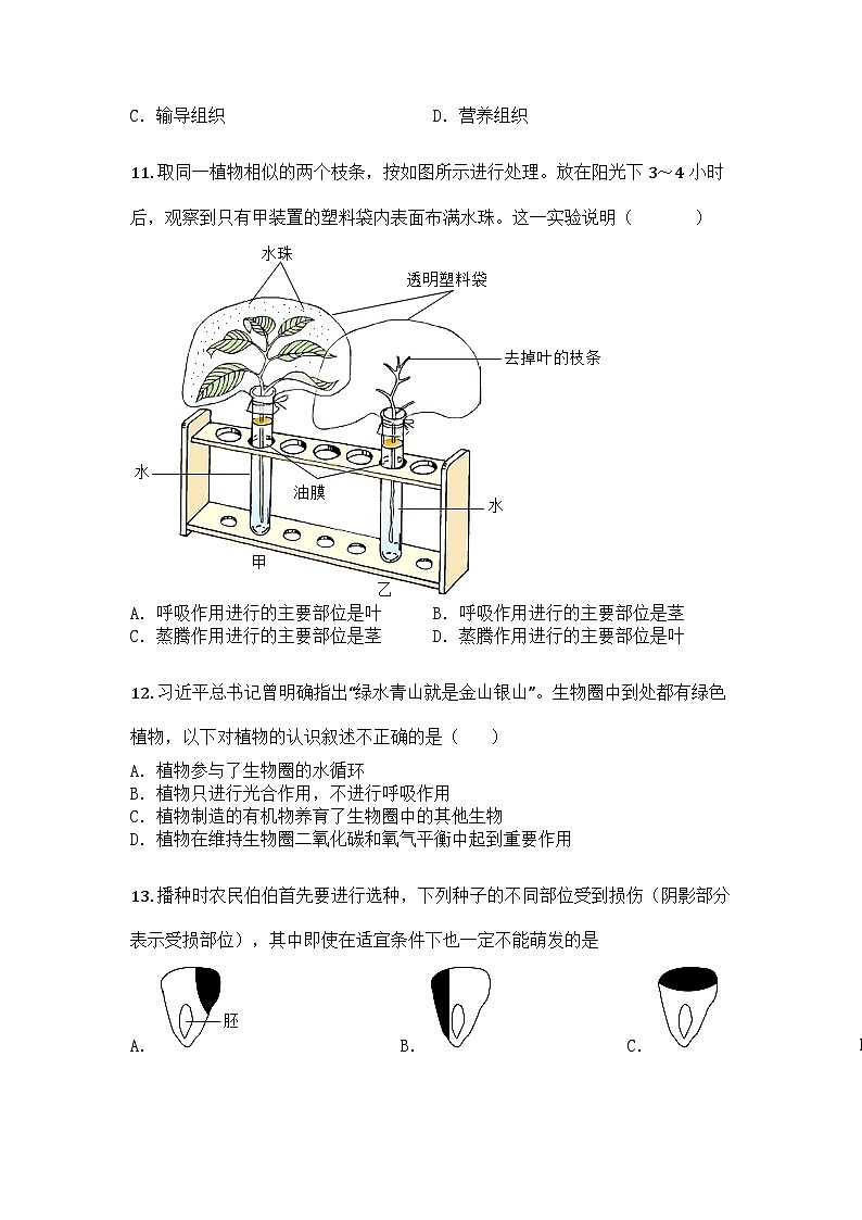 河南省驻马店市西平县2024-2025学年七年级上学期期末生物试题第3页