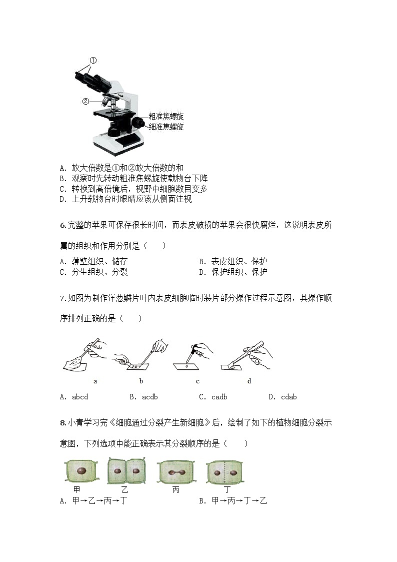 河南省驻马店市正阳县2024-2025学年七年级上学期期末生物试题第2页