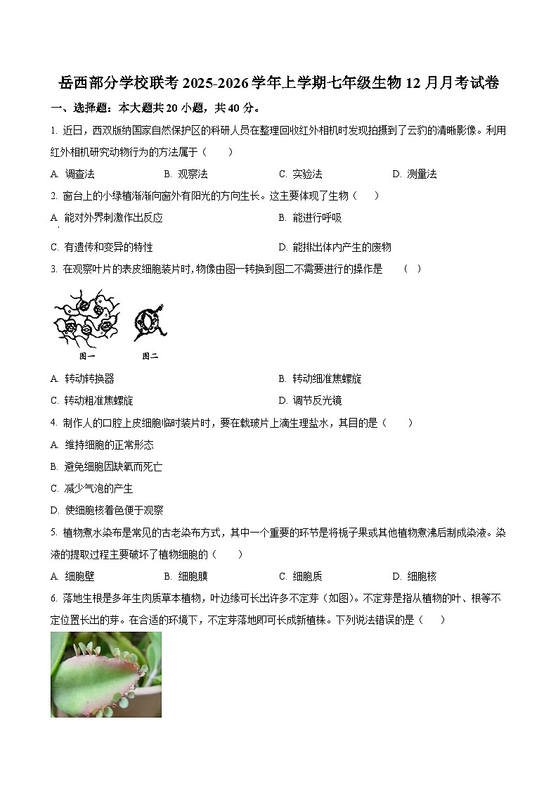 安徽省安庆市岳西县五校联考2025-2026学年七年级上学期12月月考生物试题第1页