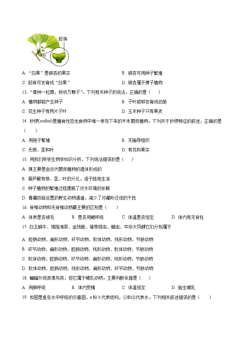 安徽省安庆市岳西县五校联考2025-2026学年七年级上学期12月月考生物试题第3页