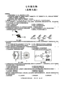 安徽省宿州市部分学校2025-2026学年度七年级上学期12月月考生物试卷