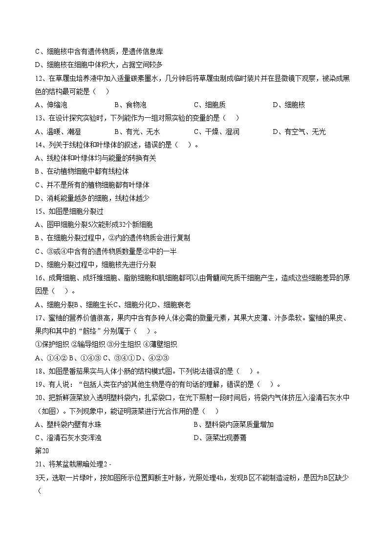 广东省揭阳市惠来县2025_2026学年七年级上学期1月期末生物试题(文字版含答案)第3页