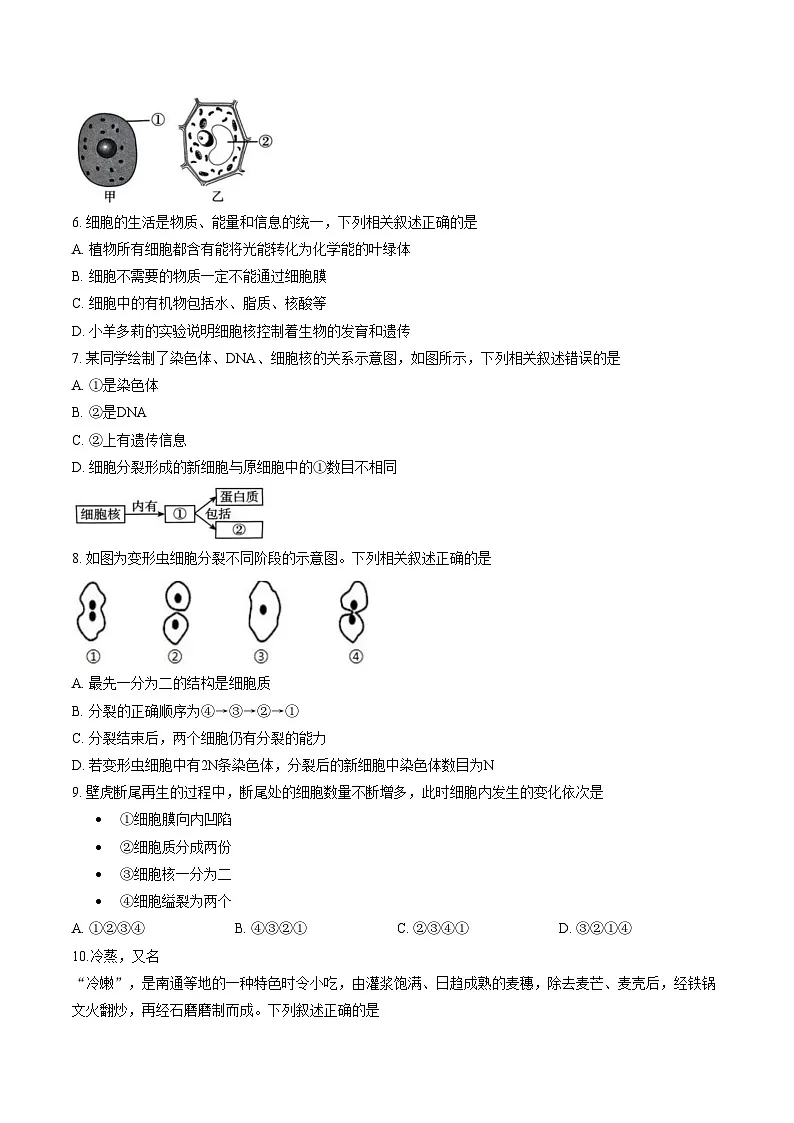 天津市河北区2025_2026学年七年级上学期生物期末试题(文字版含答案)第2页