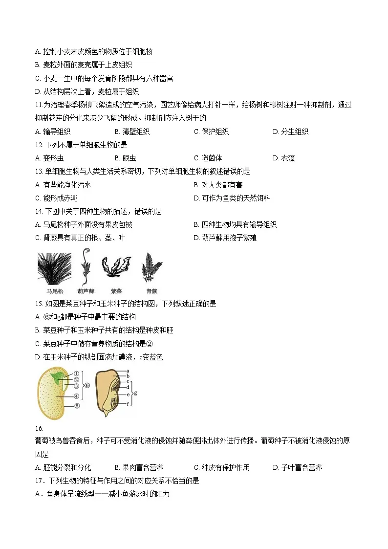 天津市河北区2025_2026学年七年级上学期生物期末试题(文字版含答案)第3页