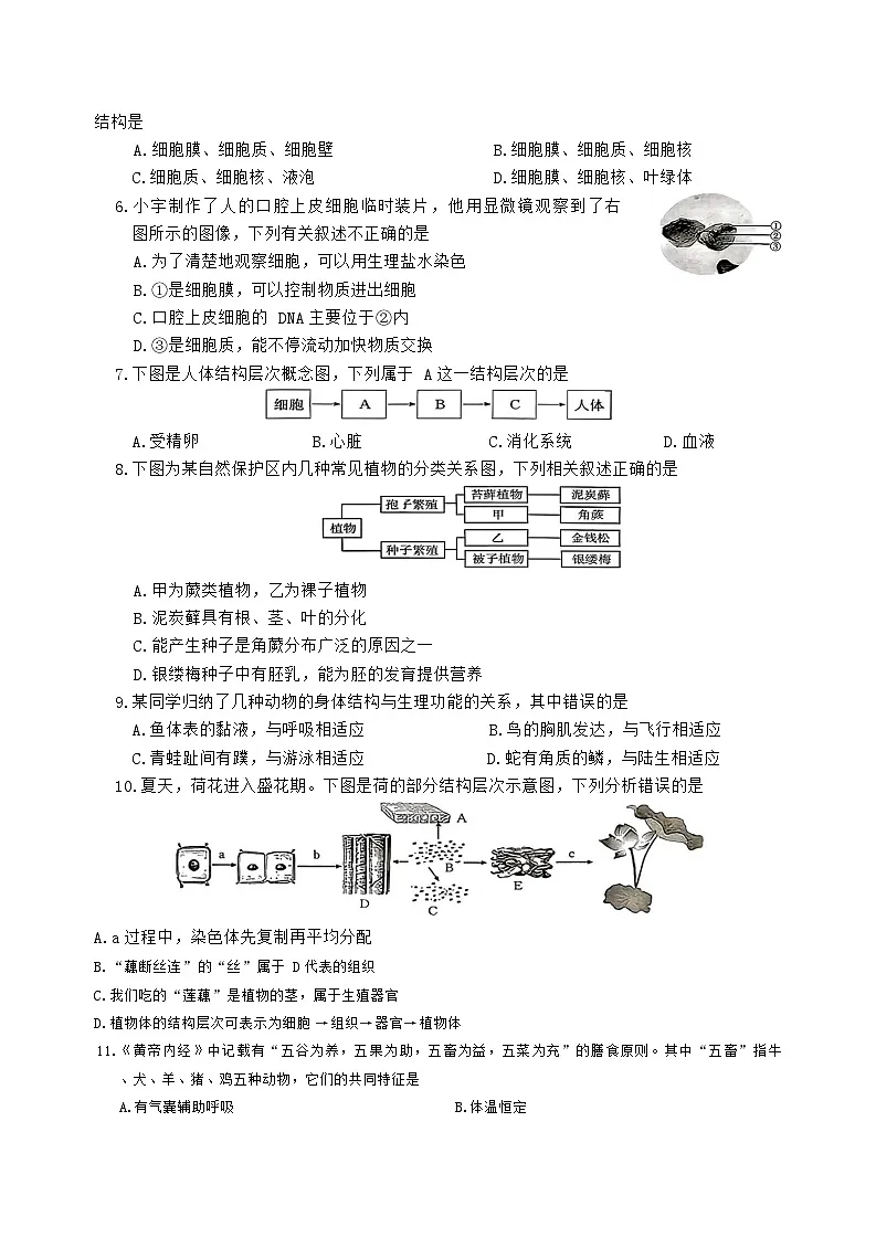 山西省临汾市2025-2026学年度七年级上学期期末生物学试卷(含答案)第2页