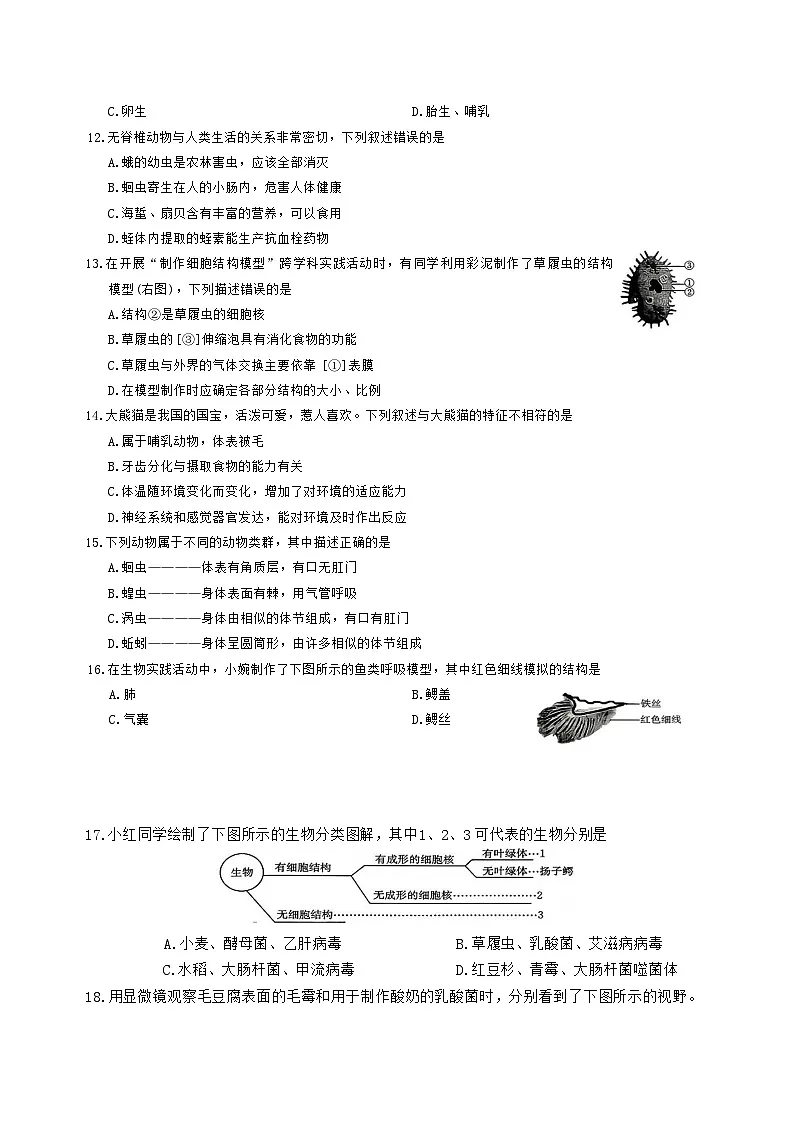 山西省临汾市2025-2026学年度七年级上学期期末生物学试卷(含答案)第3页