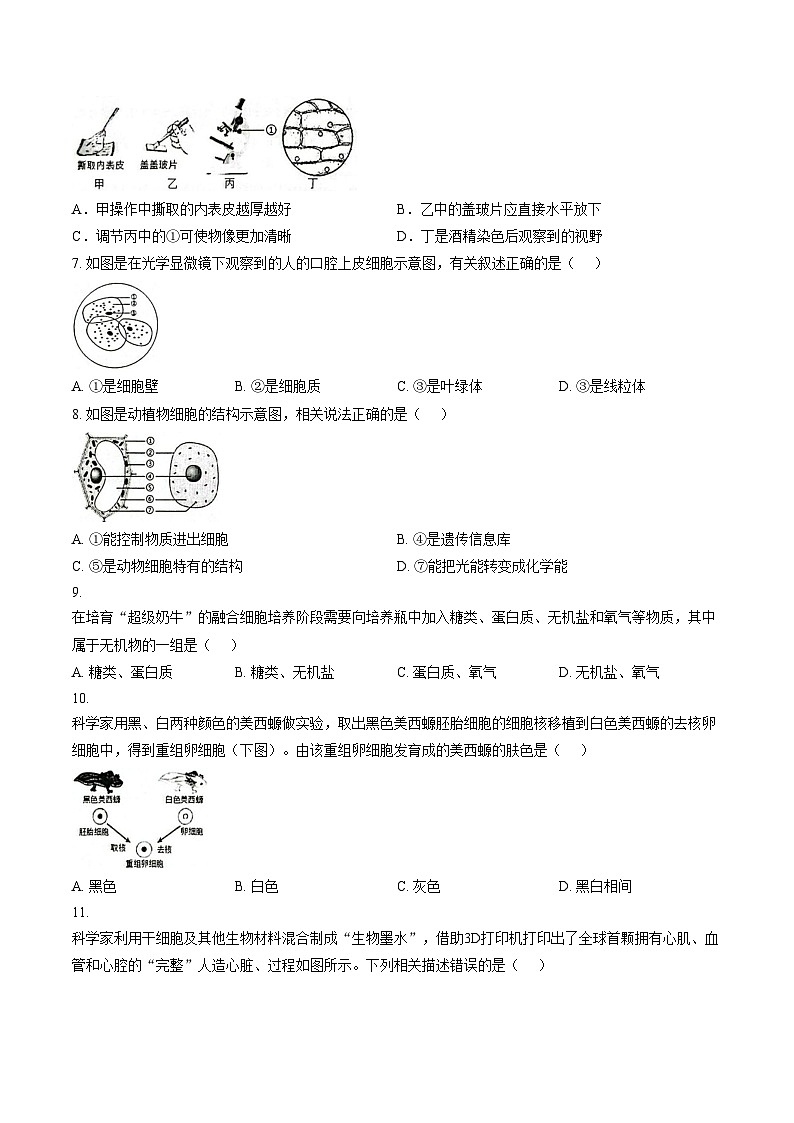 海南省万宁市2025_2026学年七年级上学期1月期末生物试题(文字版,含答案)第2页