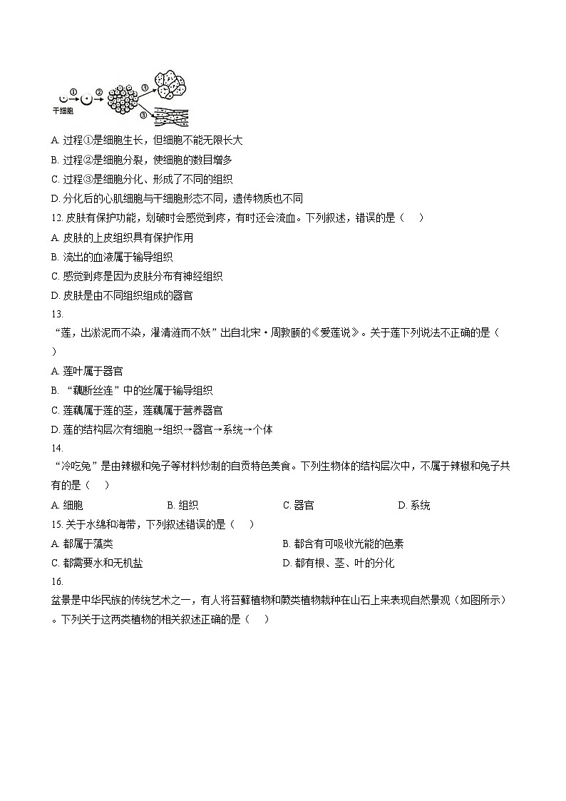 海南省万宁市2025_2026学年七年级上学期1月期末生物试题(文字版,含答案)第3页