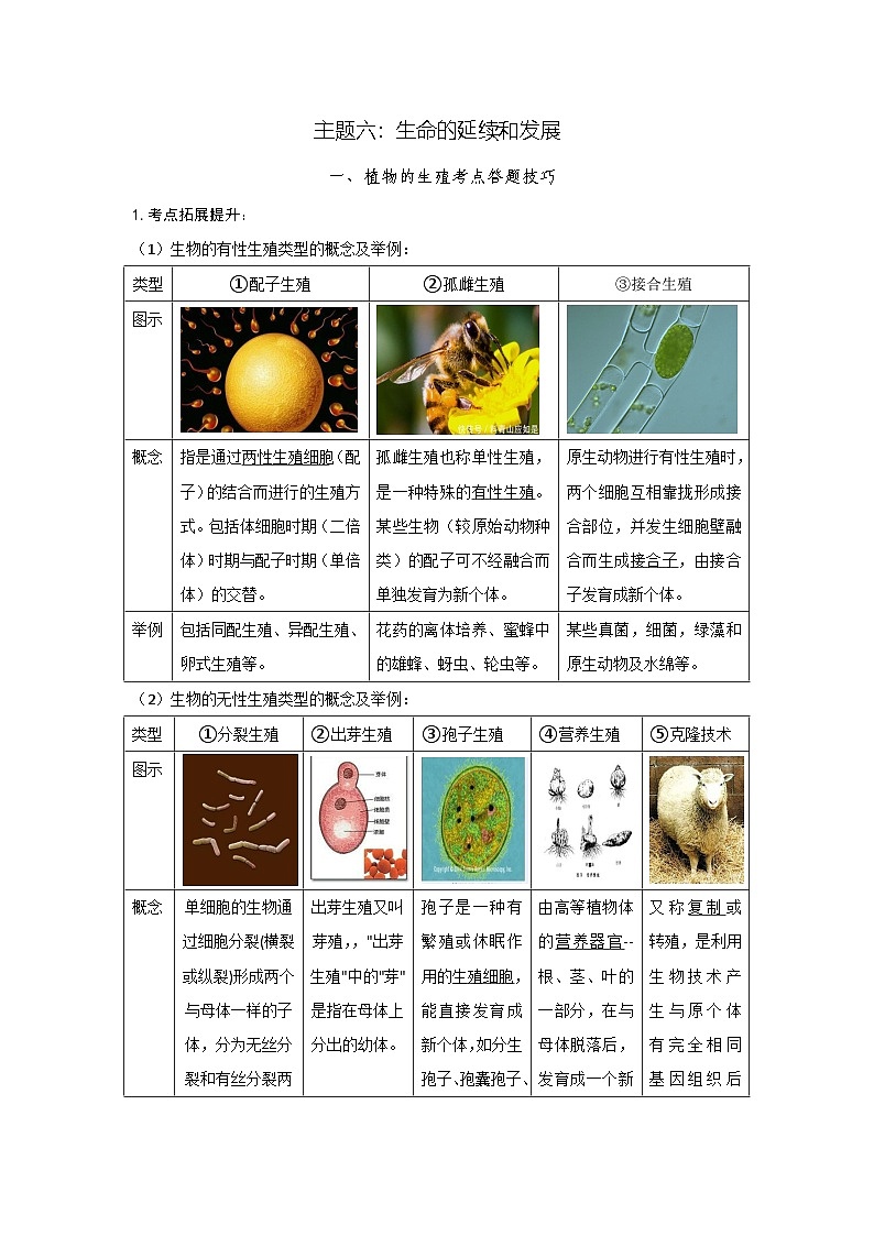 人教版(2024)八年级下册生物期末复习重点考点提纲(含答题技巧) 讲义第2页