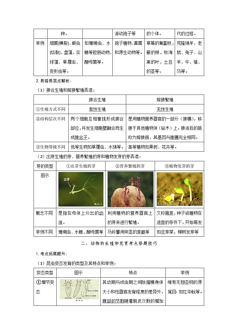 人教版(2024)八年级下册生物期末复习重点考点提纲(含答题技巧) 讲义第3页