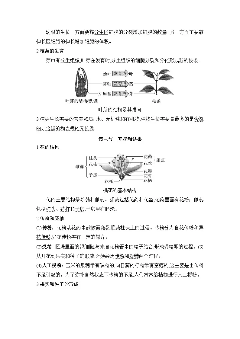 人教版(2024)七年级下册生物期末复习全册考点提纲 讲义第3页