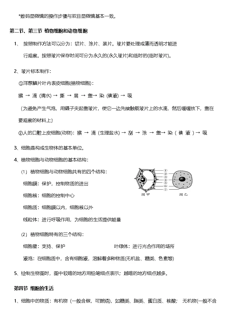 人教版(2024)七年级上册生物期末复习知识点 讲义第3页
