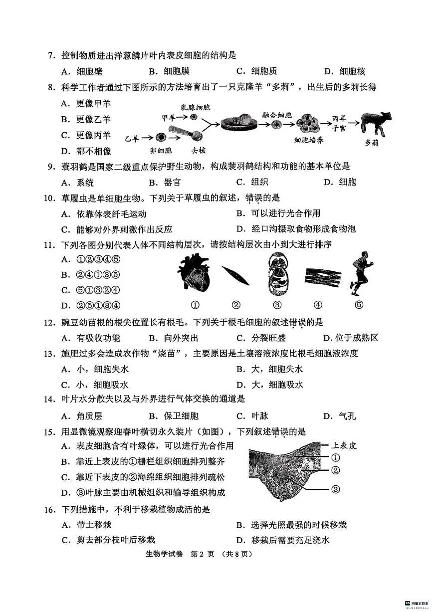 北京市石景山区2025--2026学年七年级上学期期末生物试题_(含答案_)第2页