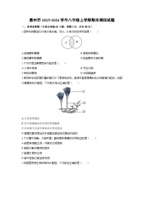 2025-2026学年广东省惠州市八年级上学期期末模拟生物试卷（学生版）