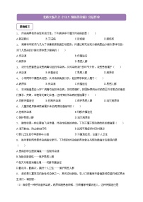 初中生物北师大版(2024)八年级上册(2024)预防传染病精品课后复习题